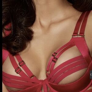 Elegant Red Strappy Bra Its use Like New Size 36 C